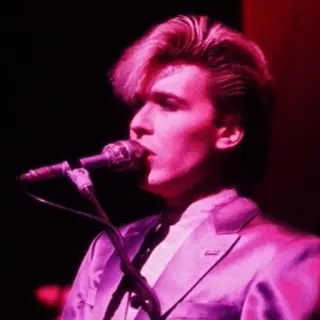 David Sylvian