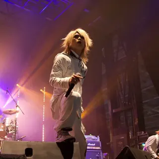 vistlip