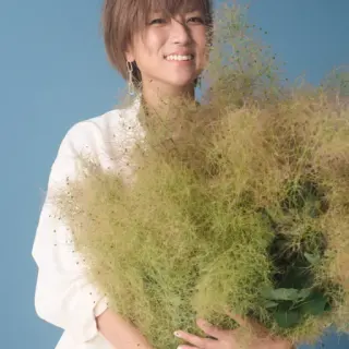 Hitomi